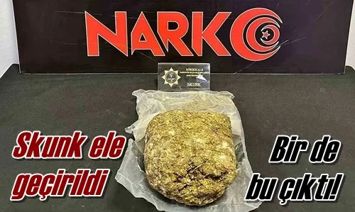 Skunk ele geçirildi