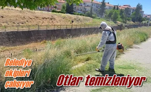 Otlar temizleniyor