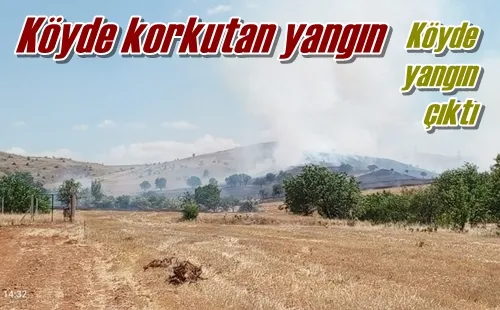 Köyde korkutan yangın