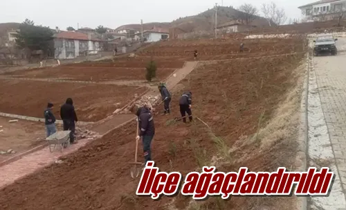 İlçe ağaçlandırıldı