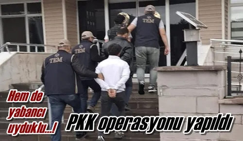 PKK operasyonu yapıldı