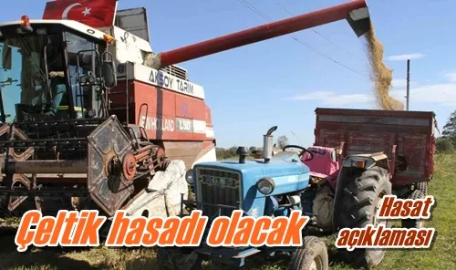 Çeltik hasadı olacak