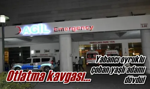 Otlatma kavgası