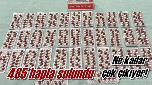 485 hapla bulundu