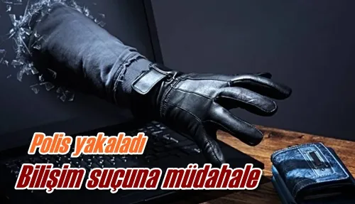 Bilişim suçuna müdahale