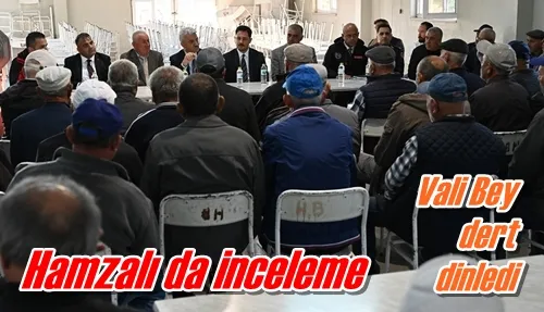 Hamzalı da inceleme