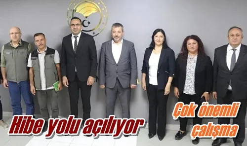Hibe yolu açılıyor