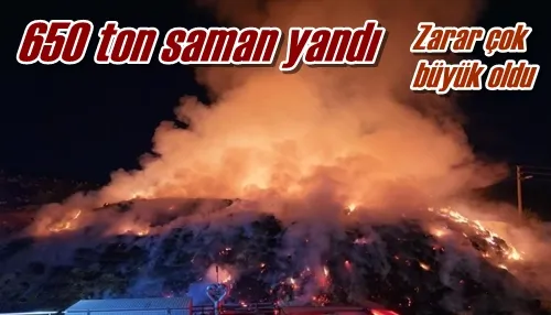 650 ton saman yandı