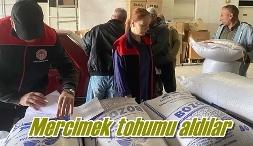 Mercimek tohumu aldılar