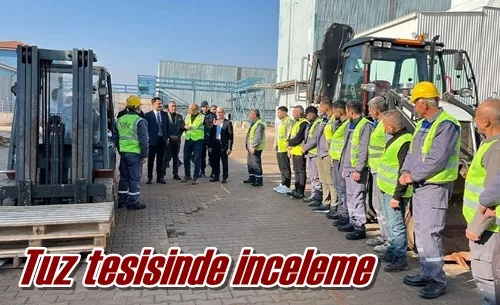Tuz tesisinde inceleme
