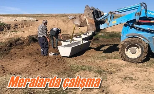 Meralarda çalışma