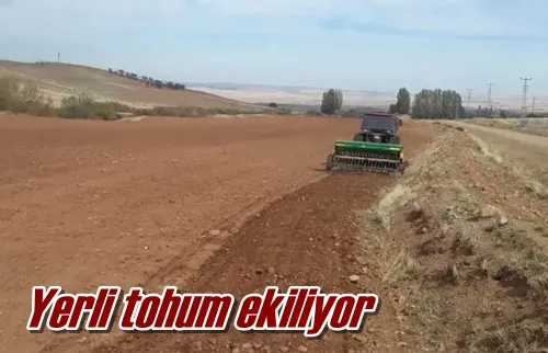 Yerli tohum ekiliyor