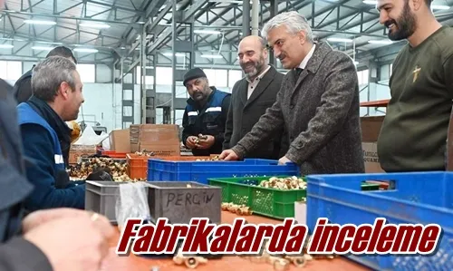 Fabrikalarda inceleme
