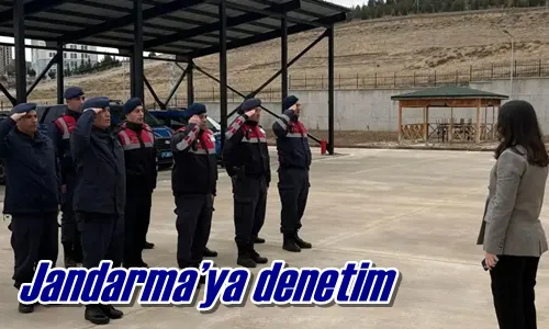 Jandarma’ya denetim
