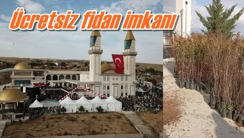 Ücretsiz fidan imkanı
