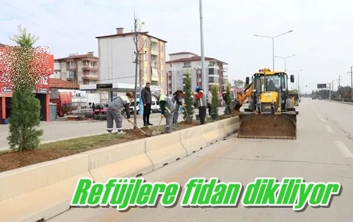 Refüjlere fidan dikiliyor