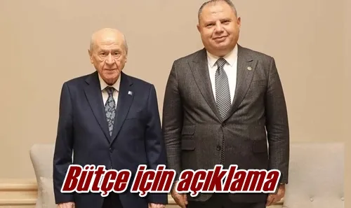 Bütçe için açıklama