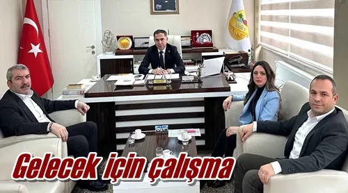 Gelecek için çalışma