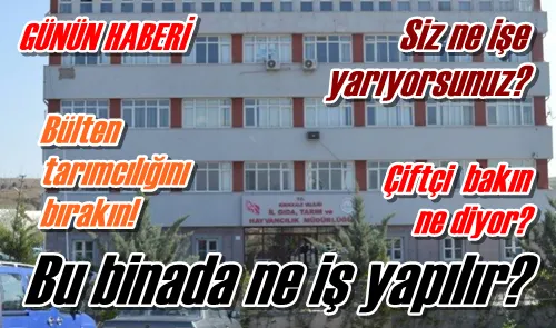 Bu binada ne iş yapılır?
