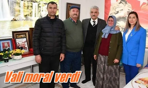 Vali moral verdi