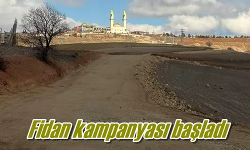 Fidan kampanyası başladı