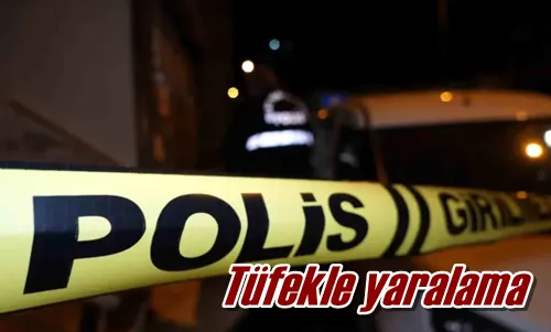 Tüfekle yaralama