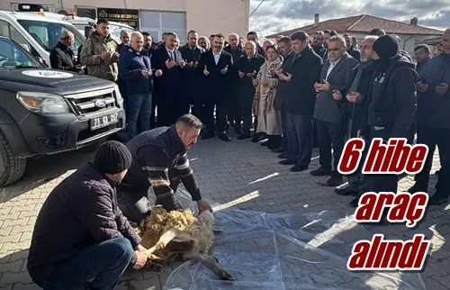 6 hibe araç alındı