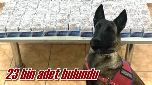 23 bin adet bulundu