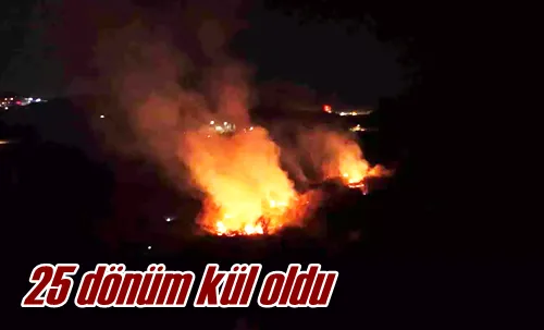 25 dönüm kül oldu