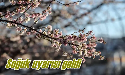 Soğuk uyarısı geldi