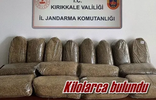 Kilolarca bulundu