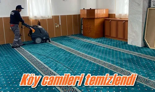 Köy camileri temizlendi