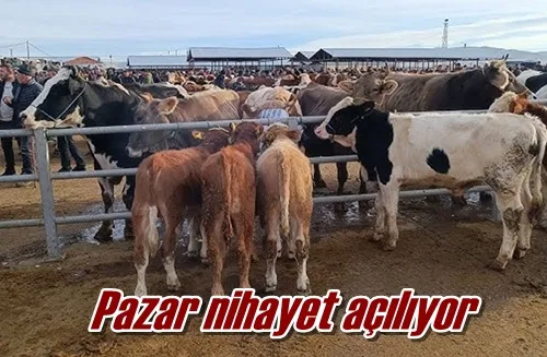 Pazar nihayet açılıyor