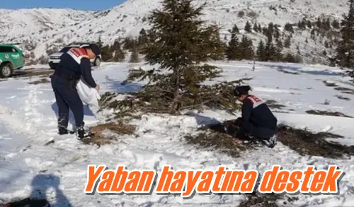 Yaban hayatına destek