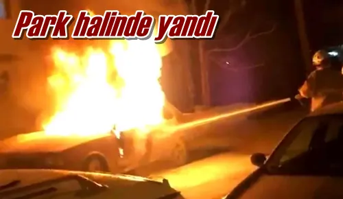 Park halinde yandı