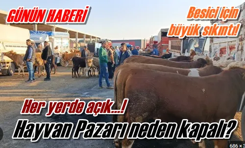 Hayvan Pazarı neden kapalı?