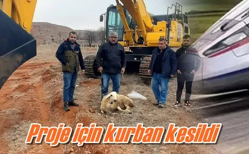 Proje için kurban kesildi