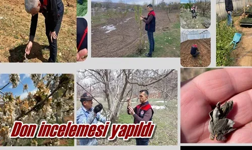 Don incelemesi yapıldı