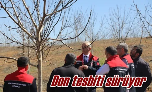 Don tesbiti sürüyor
