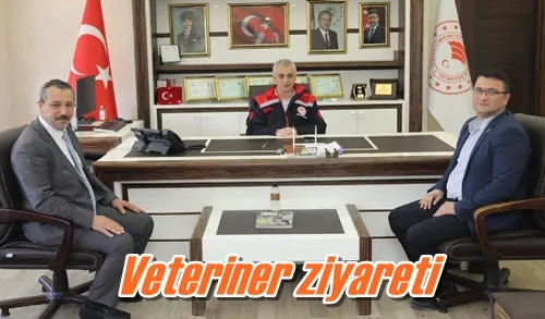 Veteriner ziyareti