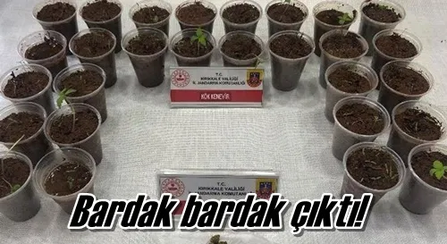 Bardak bardak çıktı!