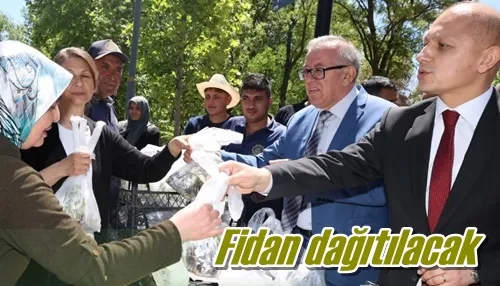 Fidan dağıtılacak