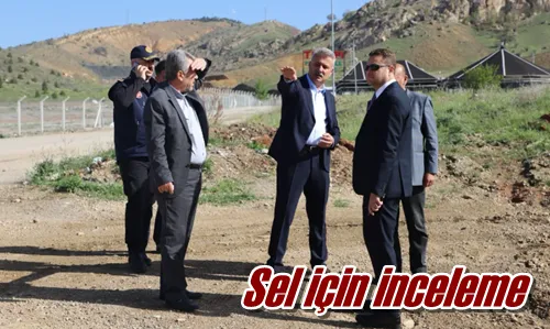 Sel için inceleme