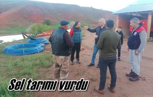 Sel tarımı vurdu