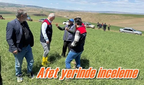 Afet yerinde inceleme