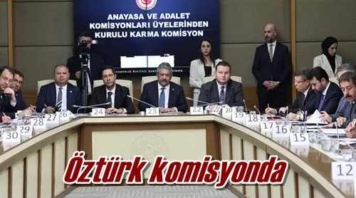 Öztürk komisyonda