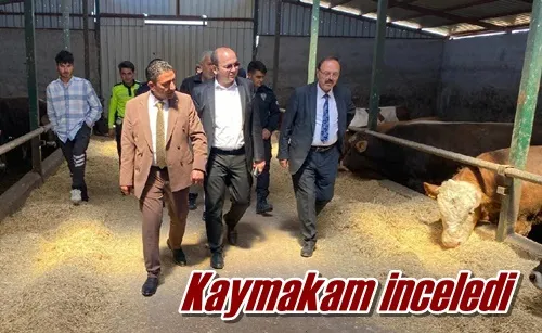 Kaymakam inceledi