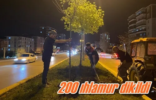 200 ıhlamur dikildi