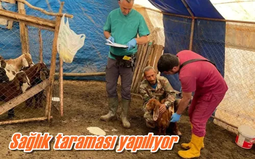 Sağlık taraması yapılıyor