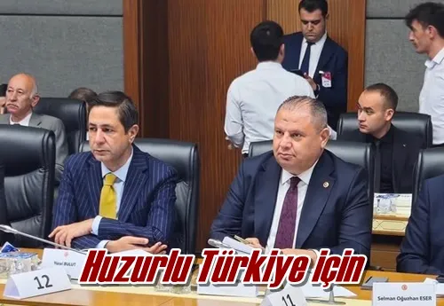 Huzurlu Türkiye için
